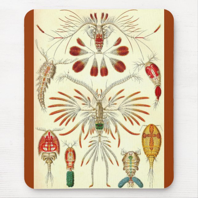 Ernst Haeckel - Copepoda Mouse Mat (Front)