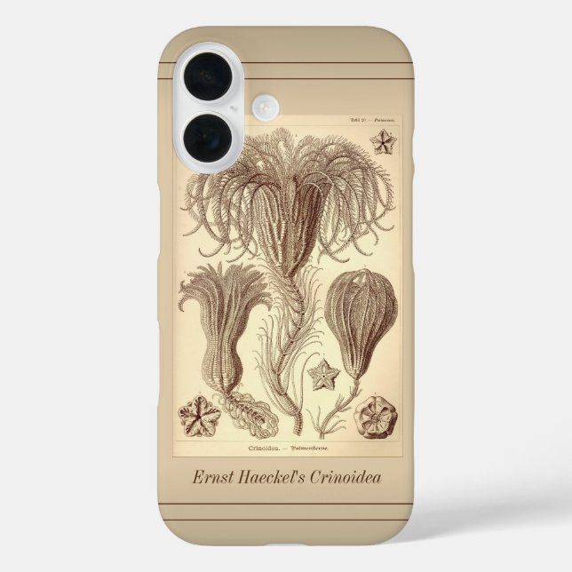 Ernst Haeckel Crinoids- Full Page Case-Mate iPhone Case (Back)