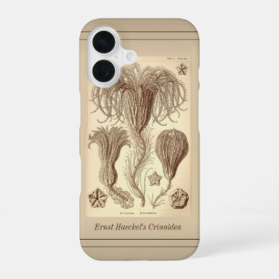Ernst Haeckel Crinoids- Full Page iPhone 16 Case