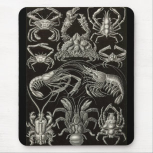 Ernst Haeckel - Decapoda Mouse Mat