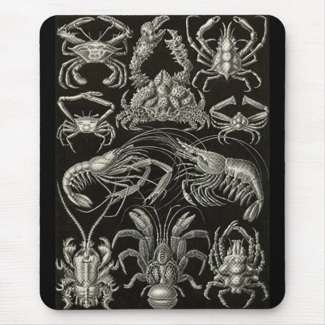 Ernst Haeckel - Decapoda Mouse Mat (Front)