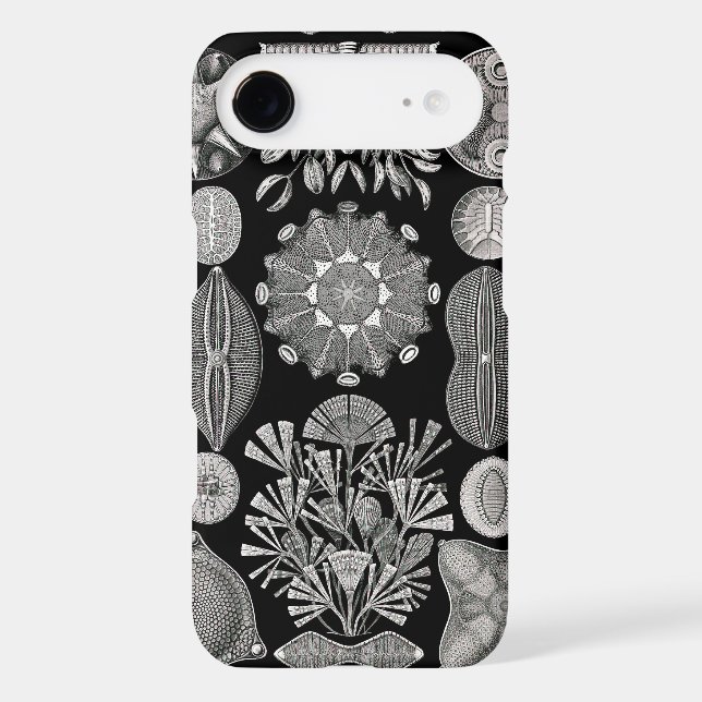 Ernst Haeckel  Diatomea Case-Mate iPhone Case (Back)