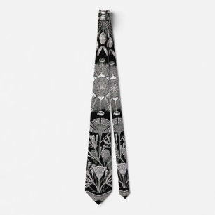 Ernst Haeckel Diatomea Tie