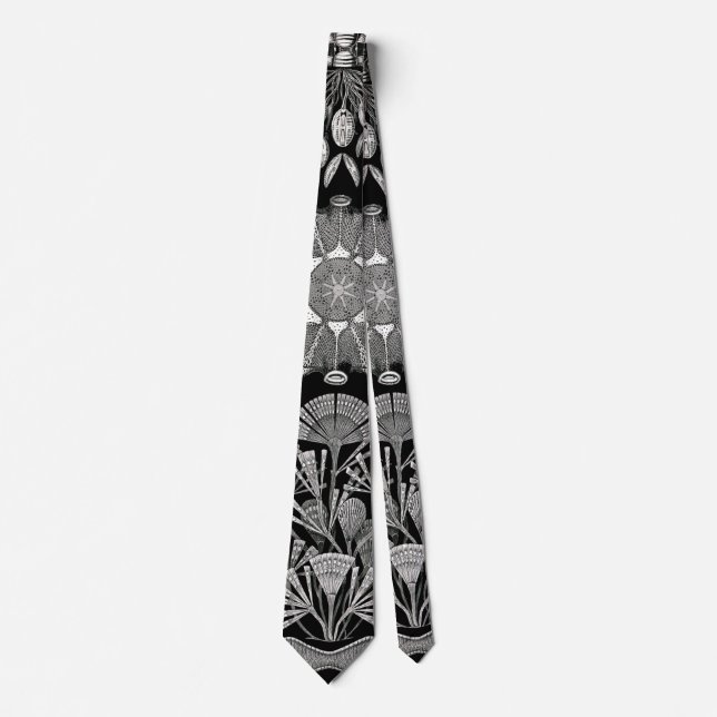 Ernst Haeckel Diatomea Tie (Front)