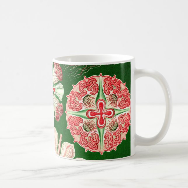 Ernst Haeckel Discomedusae (Aurelia) Coffee Mug (Right)