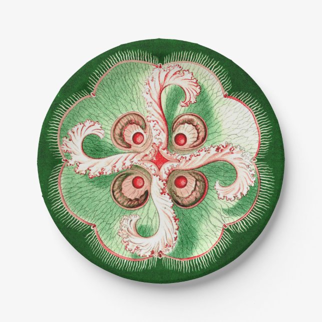 Ernst Haeckel Discomedusae (Aurelia) Jellyfish Paper Plate (Front)