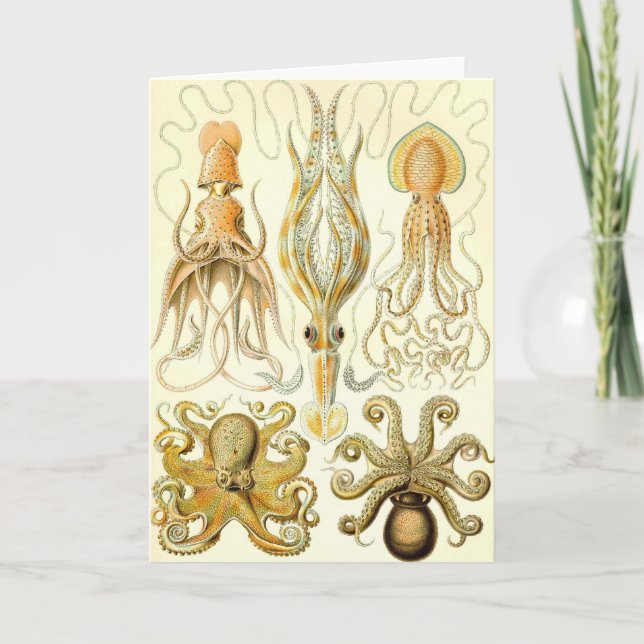 Ernst Haeckel — Gamochonia Card (Front)