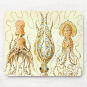 Ernst Haeckel - Gamochonia Detail Mouse Mat