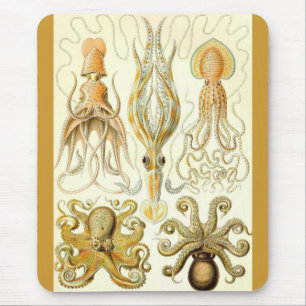 Ernst Haeckel - Gamochonia Mouse Mat