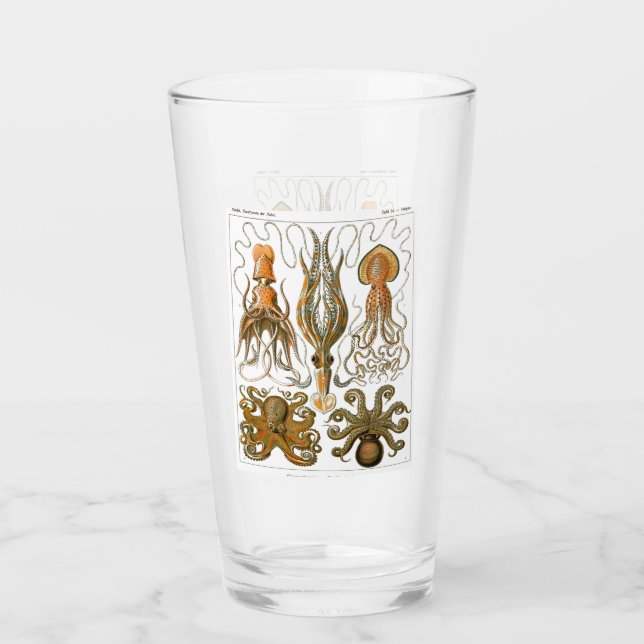Ernst Haeckel Gamochonia, Octopus, Squid Glass (Front)