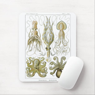 Ernst Haeckel Gamochonia Octopus & Squid Mouse Mat