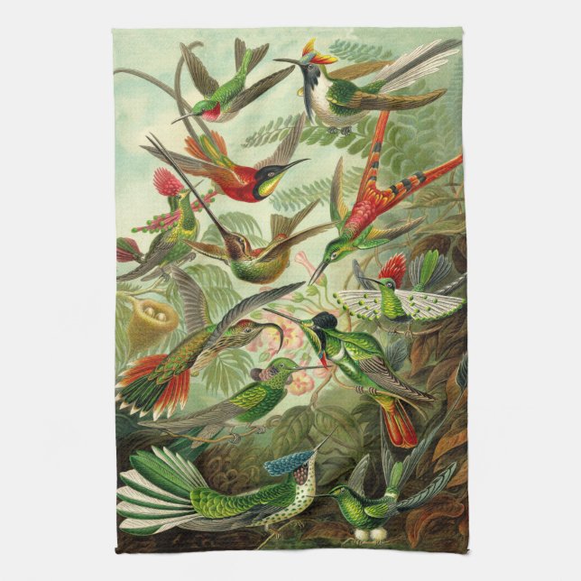 Ernst Haeckel Hummingbird Illustration Tea Towel (Vertical)