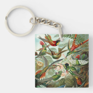 Ernst Haeckel Hummingbirds - Art Forms of Nature Key Ring