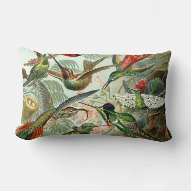 Ernst Haeckel Hummingbirds - Art Forms of Nature Lumbar Cushion (Front)
