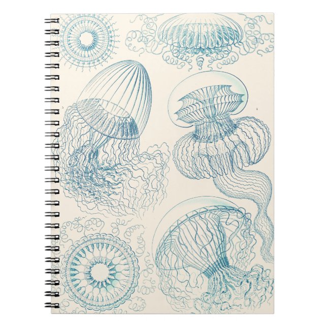 Ernst Haeckel Jellyfish Vintage Science Art Notebook (Front)