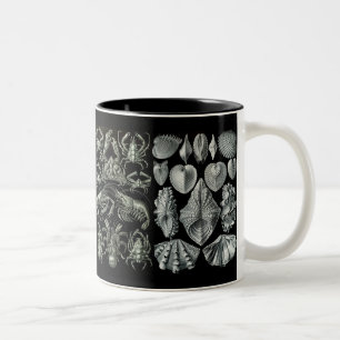 Ernst Haeckel Kunsterformen der Natur Mug