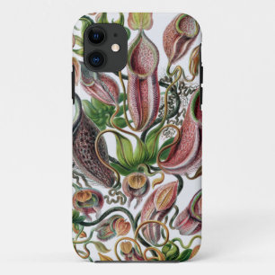 Ernst Haeckel Kunstformen der Natur Nepenthaceae P iPhone 11 Case