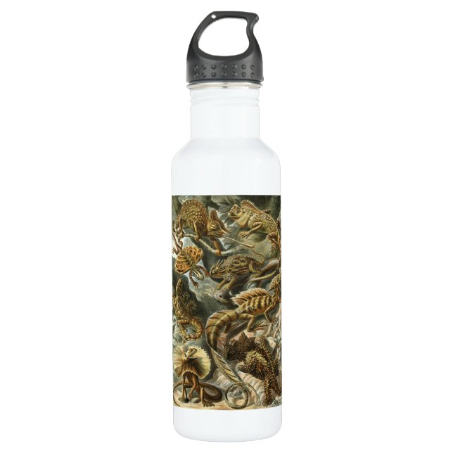 Ernst Haeckel - Lacertilia 710 Ml Water Bottle (Front)