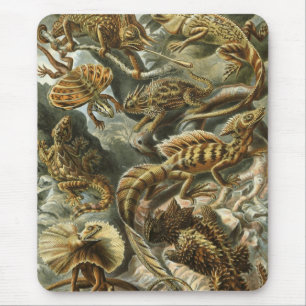 Ernst Haeckel - Lacertilia Mouse Mat