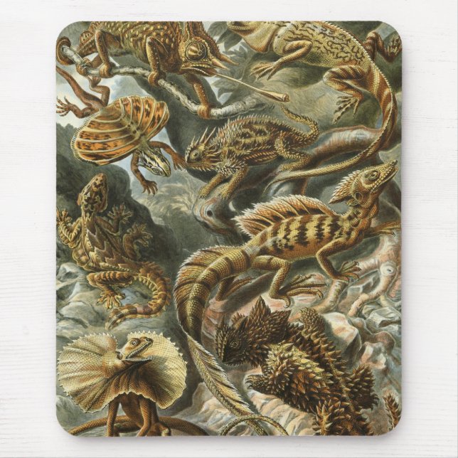 Ernst Haeckel - Lacertilia Mouse Mat (Front)