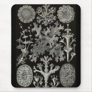 Ernst Haeckel - Lichenes Mouse Mat