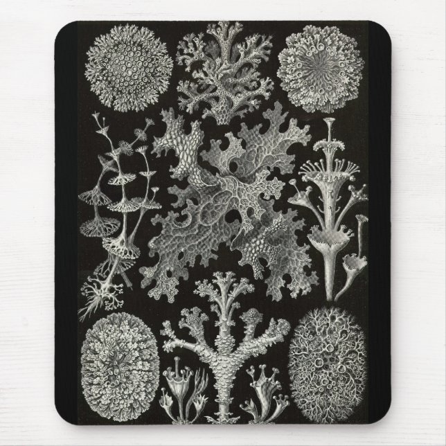 Ernst Haeckel - Lichenes Mouse Mat (Front)