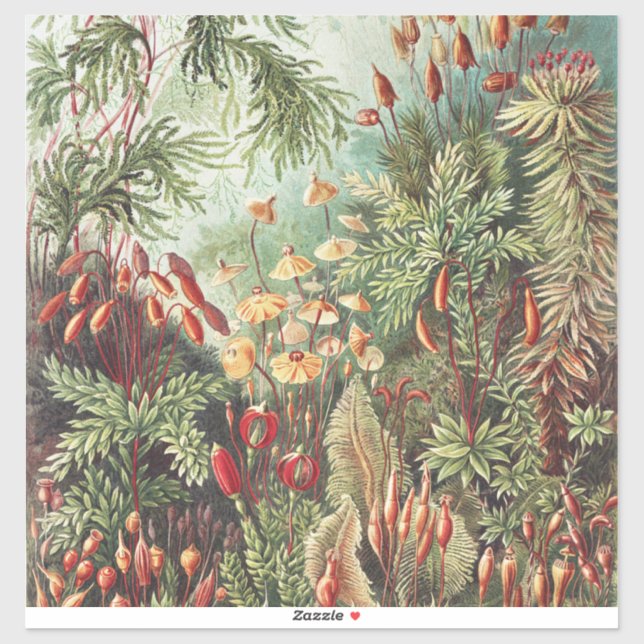 Ernst Haeckel Moss Nature Print Dark Academia (Sheet)