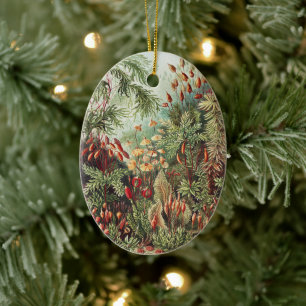 Ernst Haeckel Moss Nature Print Dark Academia Ceramic Tree Decoration