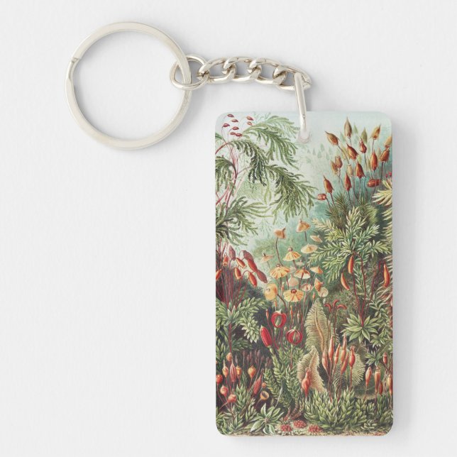 Ernst Haeckel Moss Nature Print Dark Academia Key Ring (Front)