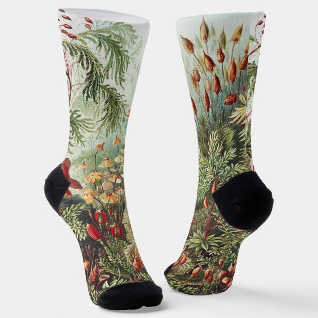 Ernst Haeckel Moss Nature Print Dark Academia Socks (Angled)