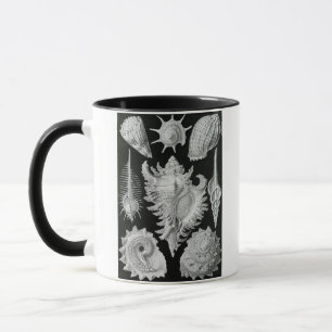 ERNST HAECKEL MUG