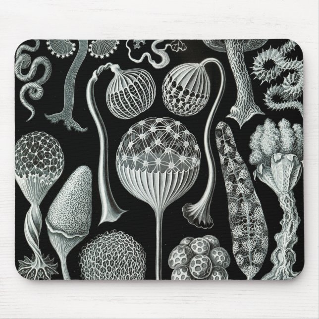 Ernst Haeckel Naturalista Mouse Mat (Front)