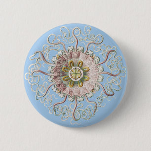 Ernst Haeckel Nautical Pink Jellyfish Medusa 6 Cm Round Badge