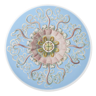 Ernst Haeckel Nautical Pink Jellyfish Medusa Ceramic Knob