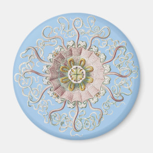 Ernst Haeckel Nautical Pink Jellyfish Medusa Magnet