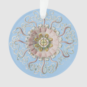 Ernst Haeckel Nautical Pink Jellyfish Medusa Ornament