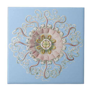 Ernst Haeckel Nautical Pink Jellyfish Medusa Tile