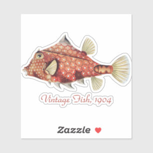 Ernst Haeckel Nautical Red Boxfish Sea Life