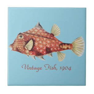 Ernst Haeckel Nautical Red Boxfish Sea Life Tile
