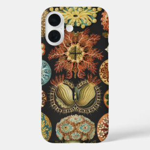 Ernst Haeckel Nautical Sea Life Art Collage iPhone 16 Case