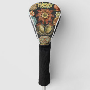 Ernst Haeckel Nautical Sea Life Art Collage Golf Head Cover