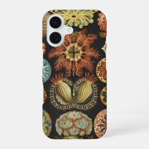 Ernst Haeckel Nautical Sea Life Art Collage iPhone 16 Case