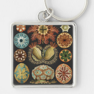 Ernst Haeckel Nautical Sea Life Art Collage Key Ring