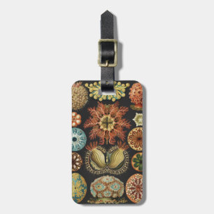 Ernst Haeckel Nautical Sea Life Art Collage Luggage Tag