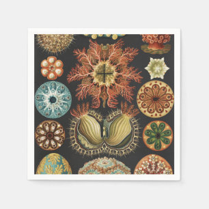 Ernst Haeckel Nautical Sea Life Art Collage Napkin