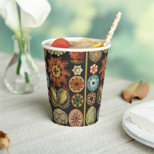 Ernst Haeckel Nautical Sea Life Art Collage Paper Cups