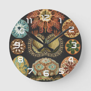 Ernst Haeckel Nautical Sea Life Art Collage Round Clock