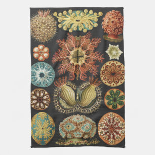 Ernst Haeckel Nautical Sea Life Art Collage Tea Towel