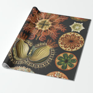 Ernst Haeckel Nautical Sea Life Art Collage Wrapping Paper