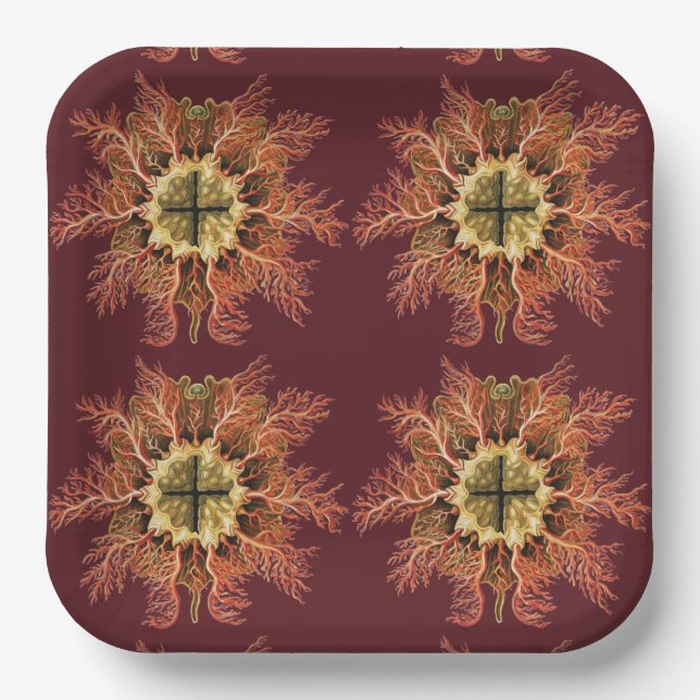 Ernst Haeckel Nautical Tunicate Red Sea Life Art Paper Plate (Front)